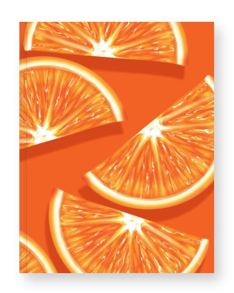 Orange Slices on Orange Notebook